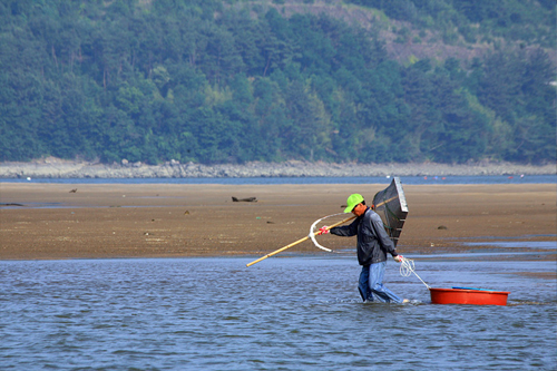 [����] ��ø ä�븦 ��ġ�� �������� ������ ���. ����� �ѷ��� ���� �ŷ��̴�.