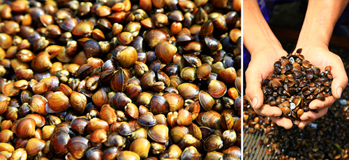 [����/������]������ ��ø / ���������� ä���� ��ø