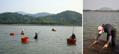 [����/������]���������� ��ø�� ��� ��ε� / ä���� ��ø�� �Ÿ��� �ִ� ����� ���