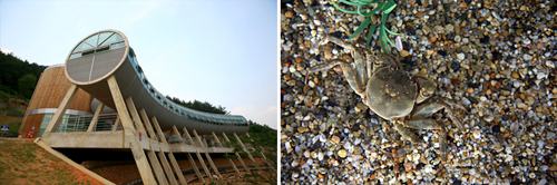 2012�� 5���� ���� �� ��������°��а� ���� / ������������������ ���� �� �ִ� ������ ����