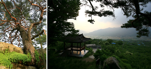 �Ϲݿ� �Ѹ��� ���� ������ ���ϼ� / ���ϼ� ���� ������ �ٶ� �Ǿ���ǰ� ������ �ɼ�