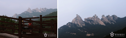[] [/] ٶ  ִ  / 5  츮  ̷ 